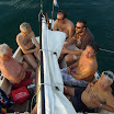 S6300726.JPG