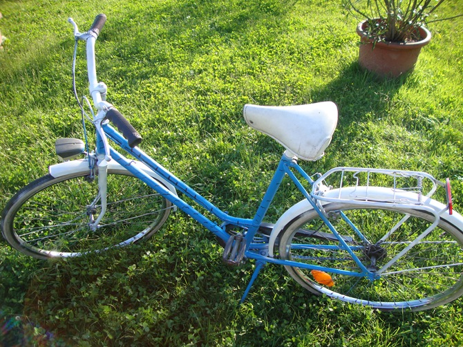 blue white freedom bike blue white freedom bike