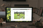 Who Are Those Dogs on Our Computer Screen?