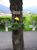 DSCN0825_Größenänderung.JPG