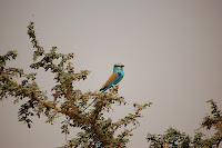 DSC_0072.JPG