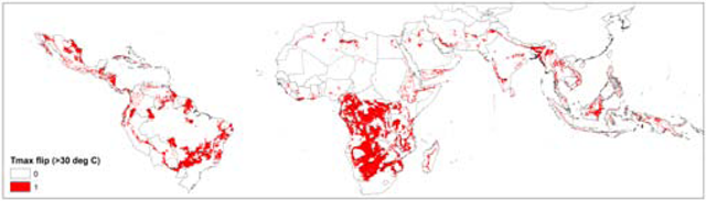 Tropical areas where average annual maximum temperature will flip from < 30&deg;C to > 30&deg;C by the year 2050. ccafs.cgiar.org