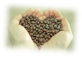 [clip_image006%255B4%255D.png]