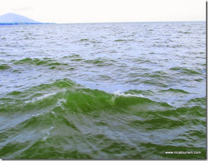 IMG_3512 IMG_3512