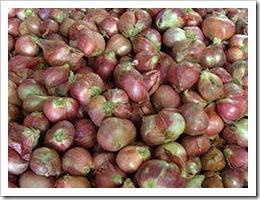 Shallot_bawang_merah