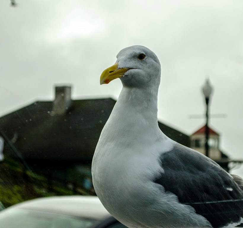 [DSC_0084%255B4%255D.jpg]