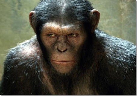 rise_of_the_planet_of_the_apes_movie_66515-480x360