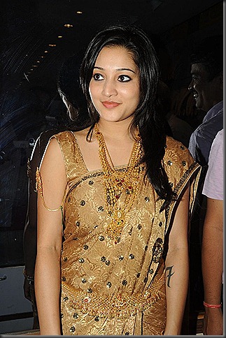 Ritu Barmecha in Silk Saree Pics