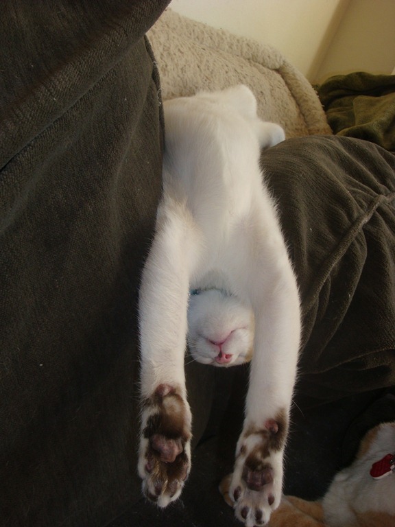 [weezy%2520snoozin%255B4%255D.jpg]