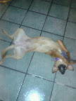 GREY, muchas gracias a su familia por las fotos