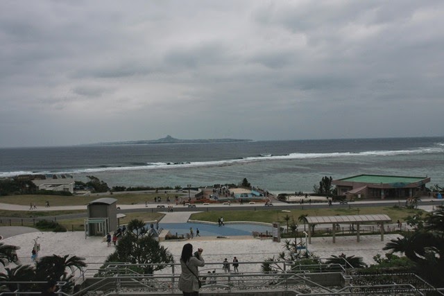 IMG_2955 IMG_2955