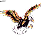 eagle-13.jpg