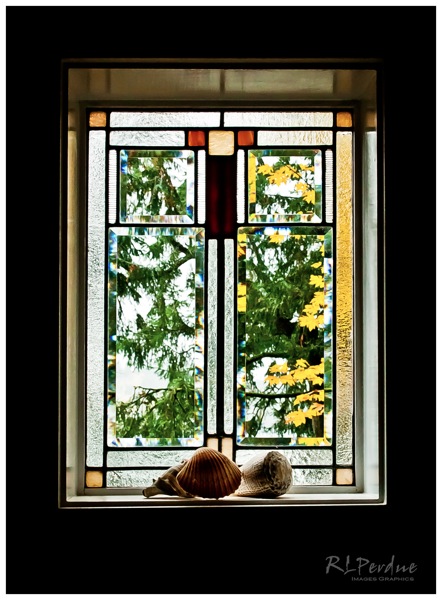 Shells in window