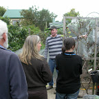 Glasshouse_blitz_3_024.jpg