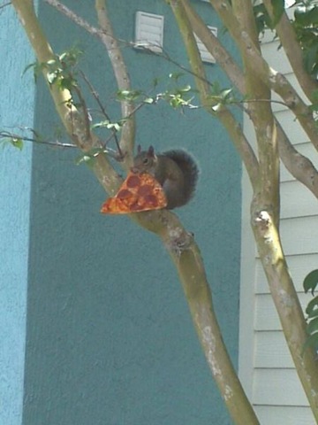 [funny-animals-cute-9%255B2%255D.jpg]