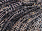 Ropes of lava, East Rift Zone 1