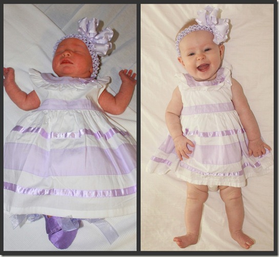 elo 5 months elo 5 months