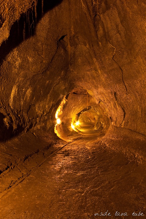 [20121214-IMG_3564%255B10%255D.jpg]