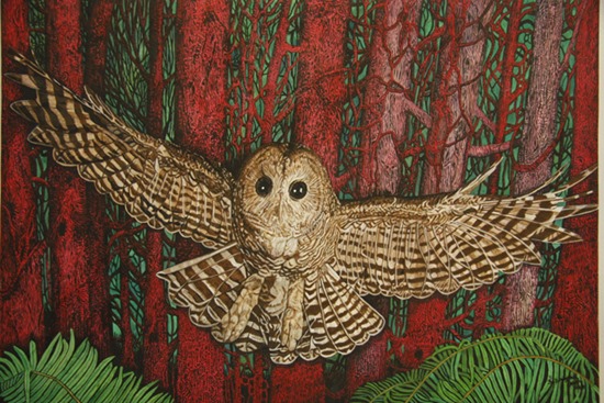 wise owl painting