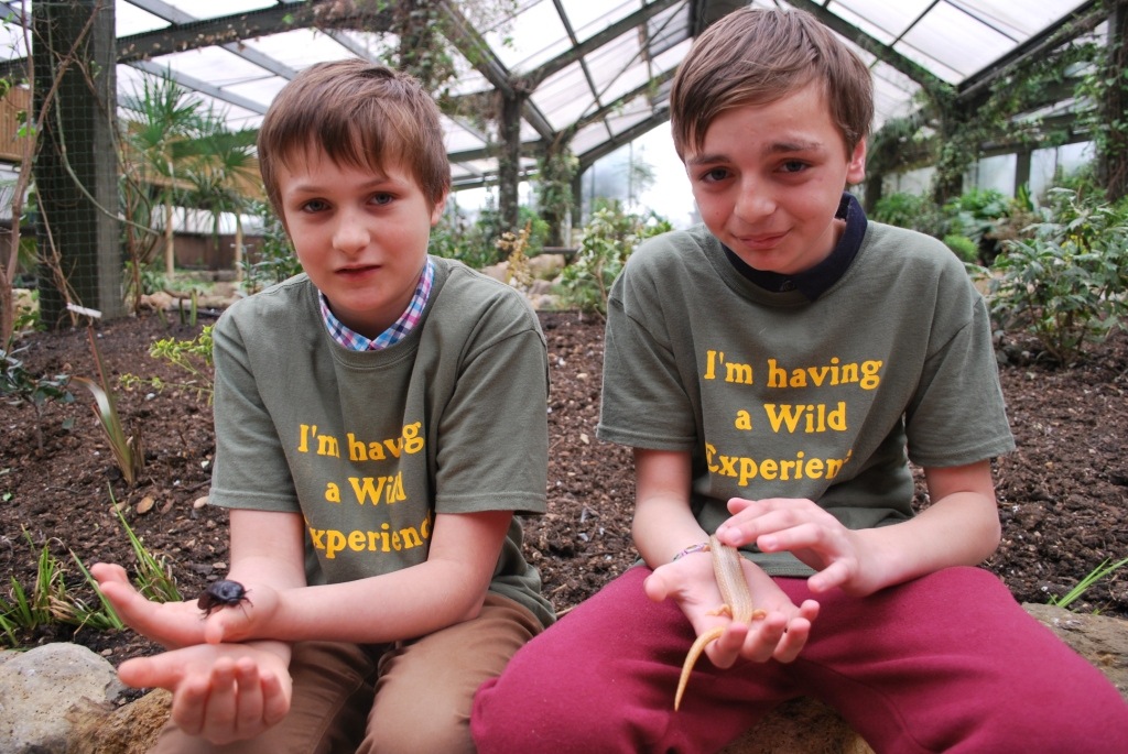 [DSC_0050%255B5%255D.jpg]