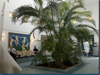 Palmen in der Rehabilitationsklinik