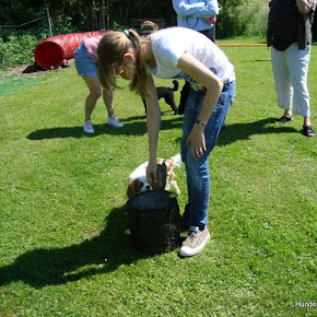 ErziehungskursJuni2010 ErziehungskursJuni2010