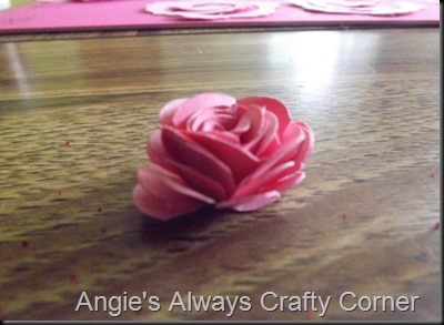 blog roses 015 blog roses 015