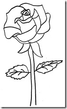 rosa