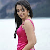 Trisha latest In Saree Gorgeous Latest Photos 2012