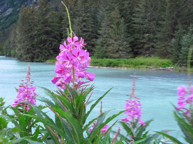 [IMG_5910%255B2%255D.jpg]