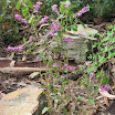 our place 024.jpg