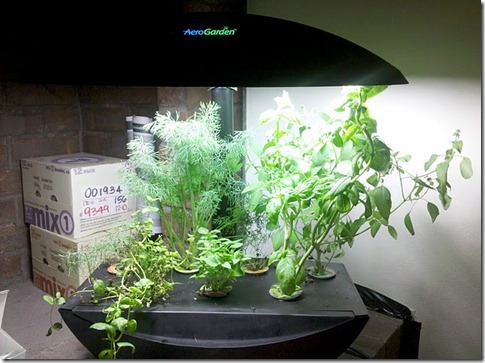 aerogrow aerogrow
