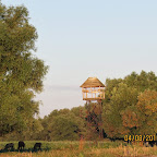 IMG_5805.JPG