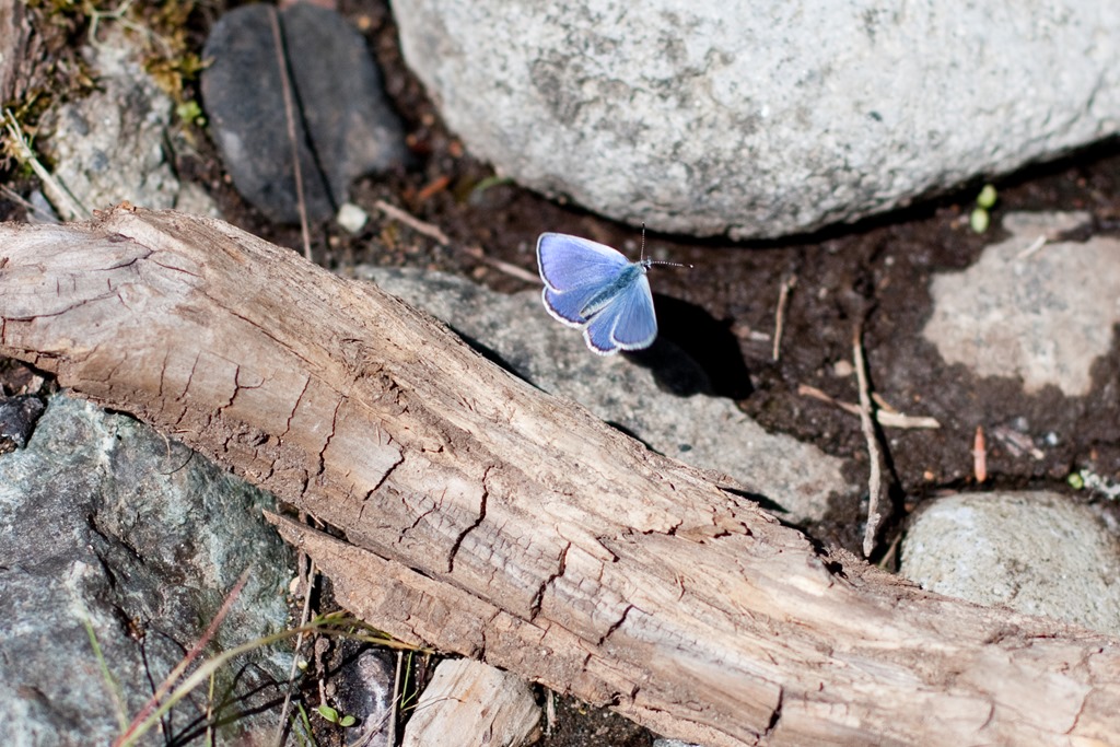 [20130720-IMG_40574.jpg]