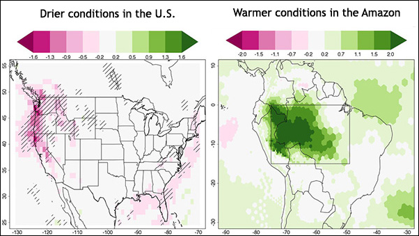 (Left) The change, in millimeters per day, in daily average precipitation after total Amazon deforestation compared to before deforestation. The pink to dark-pink range indicates a drop in precipitation of up 1.6 mm less per day once the Amazon is gone. Areas with statistically significant changes are hatched. (Right) The model indicated that the surface temperature in the Amazon region would increase by up to 2 degrees Celsius (darkest green) over a 14-year period following deforestation. The region of Amazon deforestation is boxed. Graphic: Medvigy, et al., 2013