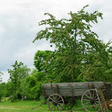 IMGP1058.JPG