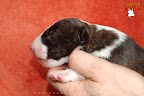 7 days old