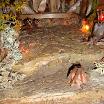 1459-2.JPG