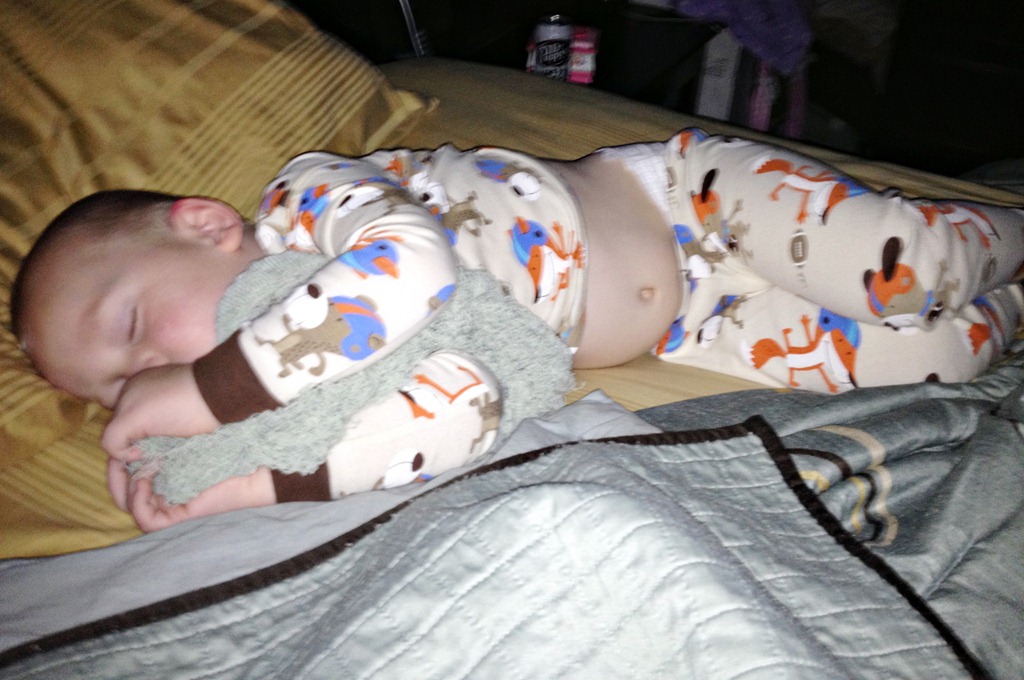 [CoopSleeps%255B5%255D.jpg]