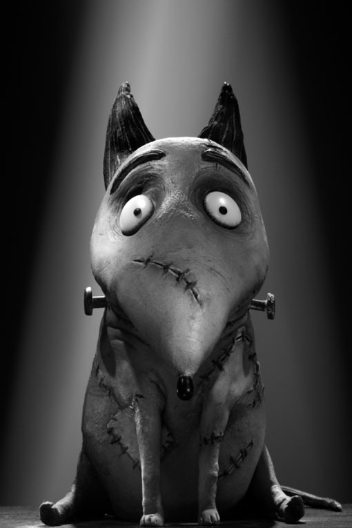 09 Sparky