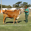 superleite2011_dia1507_118.JPG