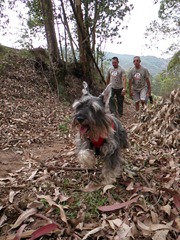 Trekking 2 (42) Trekking 2 (42)