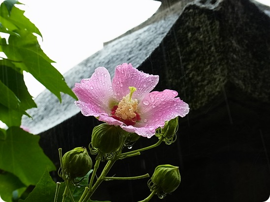 Soportando la lluvia