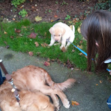 MurphyAndDaphneIntro MurphyAndDaphneIntro