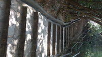 DSC_0531.jpg Photo