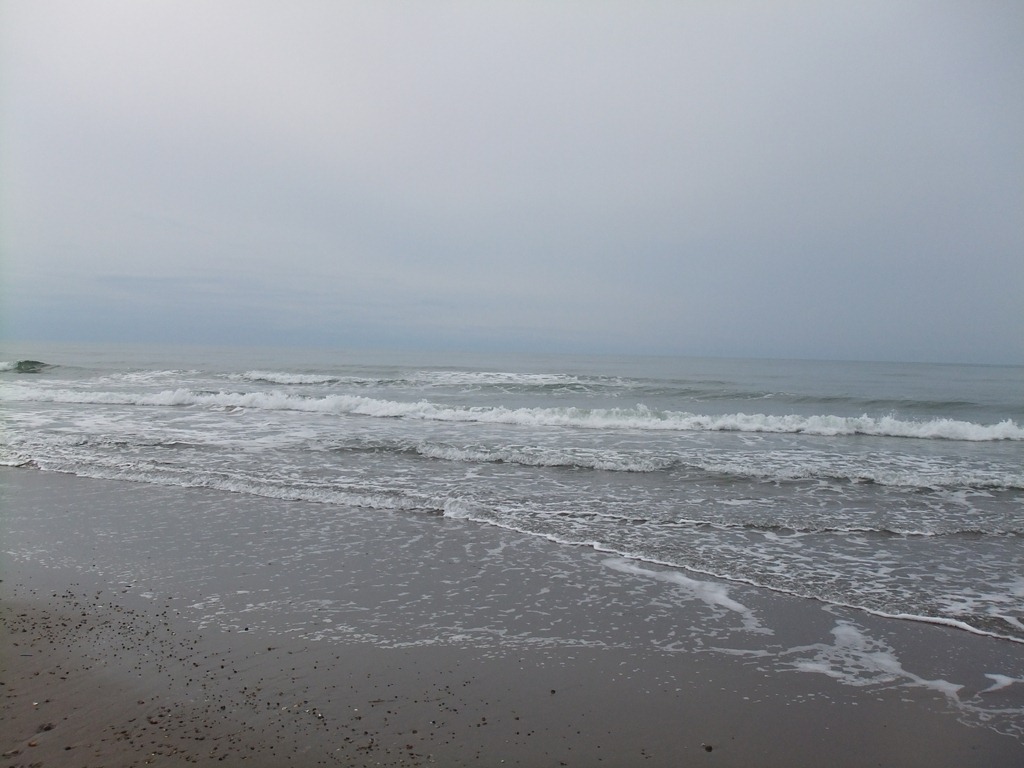 [DSCF6861%255B4%255D.jpg]