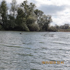IMG_3181.JPG