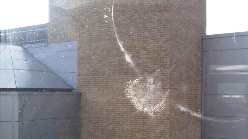 bird-imprints-14 bird-imprints-14