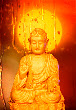 Meditation And Serenity