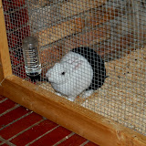 DSC_0509.JPG